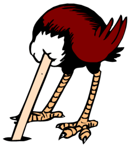 Ostrich clipart