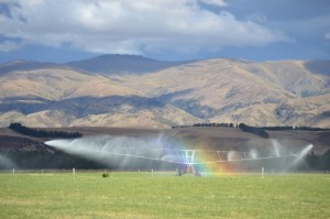 Tarras irrigation (c) Holger