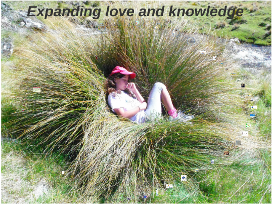 Click on the image then on the arrow to view the presentation 