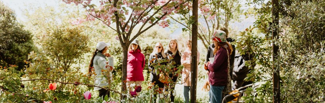 Guests in a beautiful garden