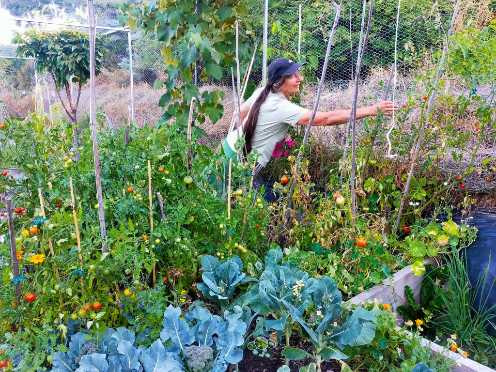 wp-17412491494499129780974159839693