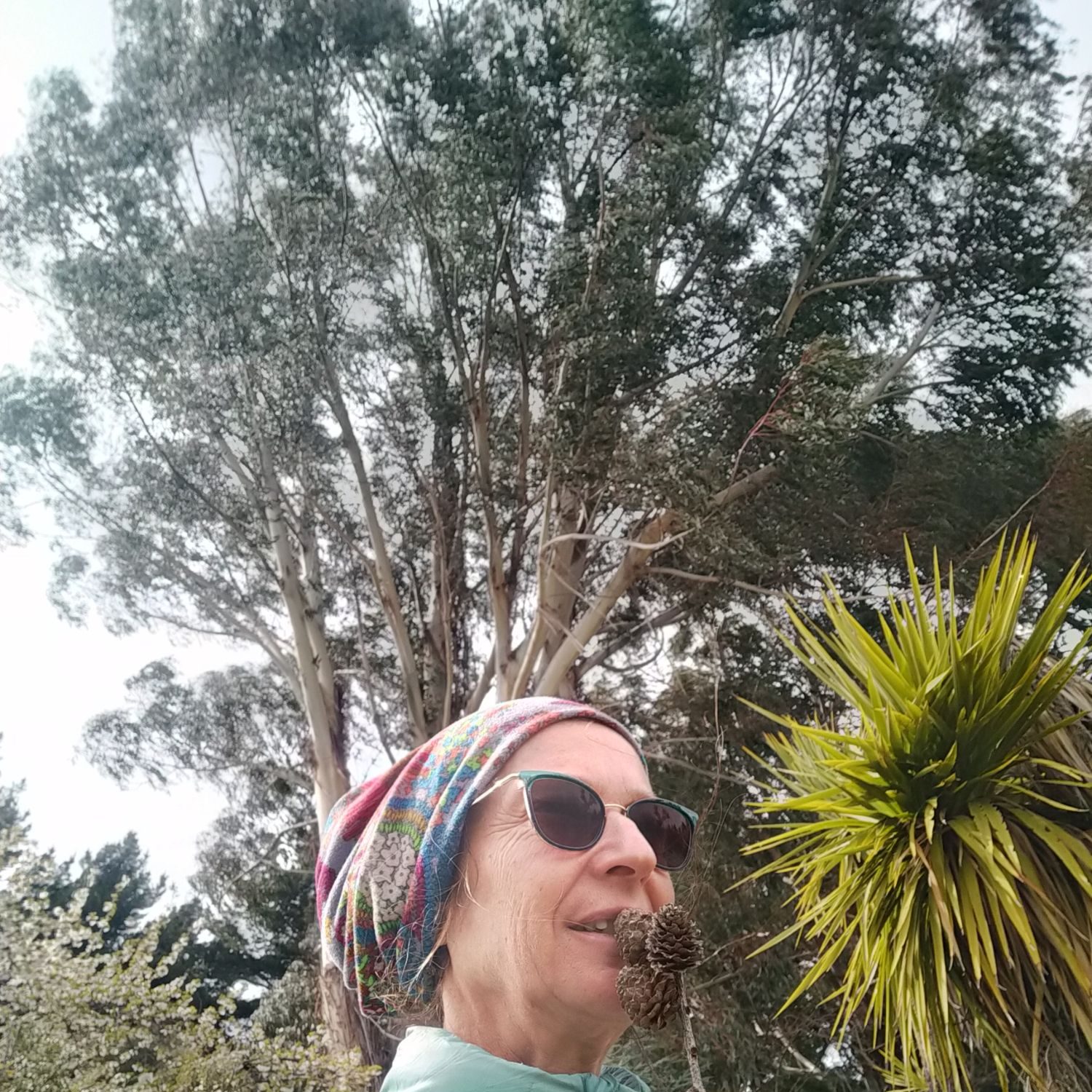 Woman with sunglasses talking into a branch a larch in front of native and non native trees