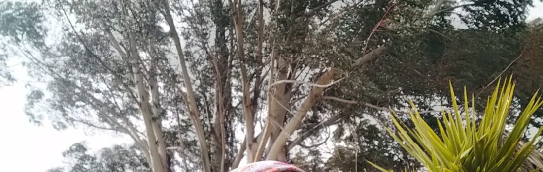 Woman with sunglasses talking into a branch a larch in front of native and non native trees